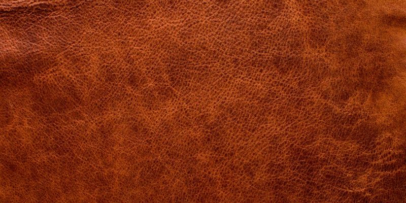 Example aniline leather