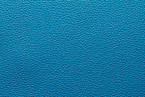 Pigmented leather example